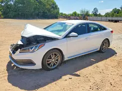 5NPE34AB4HH445568 2017 HYUNDAI SONATA