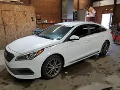 5NPE34AB4HH497721 2017 HYUNDAI SONATA