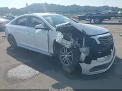 5NPE34AB5HH496531 2017 HYUNDAI SONATA