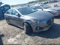 5NPE34AB5JH627429 2018 HYUNDAI SONATA