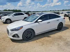 5NPE34AB5KH800481 2019 HYUNDAI SONATA
