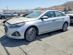 5NPE34AB5KH810010 2019 HYUNDAI SONATA