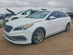 5NPE34AB6HH526202 2017 HYUNDAI SONATA