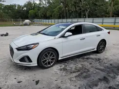 5NPE34AB6KH808010 2019 HYUNDAI SONATA