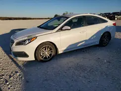 5NPE34AB7HH450926 2017 HYUNDAI SONATA