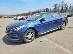 5NPE34AB7HH536902 2017 HYUNDAI SONATA