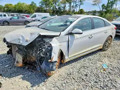 5NPE34AB7HH559807 2017 HYUNDAI SONATA