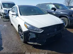5NPE34AB7KH776233 2019 HYUNDAI SONATA