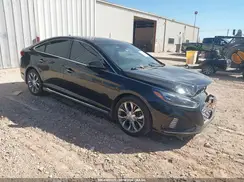 5NPE34AB7KH800451 2019 HYUNDAI SONATA