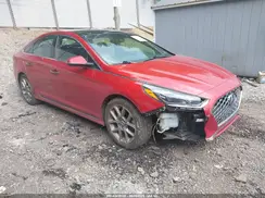 5NPE34AB8KH753219 2019 HYUNDAI SONATA