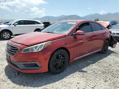 5NPE34AB9HH585504 2017 HYUNDAI SONATA