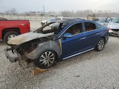 5NPE34AF0GH336493 2016 HYUNDAI SONATA