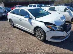 5NPE34AF0GH339801 2016 HYUNDAI SONATA