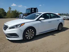 5NPE34AF0GH341807 2016 HYUNDAI SONATA