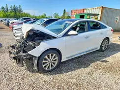 5NPE34AF0GH367193 2016 HYUNDAI SONATA