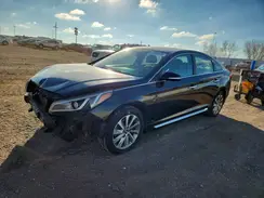 5NPE34AF0GH381577 2016 HYUNDAI SONATA
