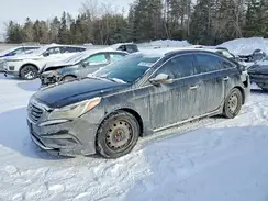 5NPE34AF0GH383782 2016 HYUNDAI SONATA