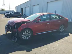 5NPE34AF0GH423438 2016 HYUNDAI SONATA