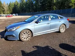 5NPE34AF0HH439902 2017 HYUNDAI SONATA