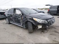 5NPE34AF0HH444050 2017 HYUNDAI SONATA