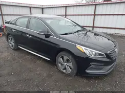 5NPE34AF0HH445716 2017 HYUNDAI SONATA