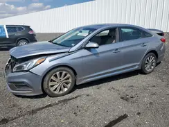 5NPE34AF0HH453377 2017 HYUNDAI SONATA