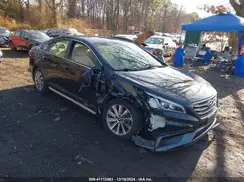 5NPE34AF0HH481258 2017 HYUNDAI SONATA