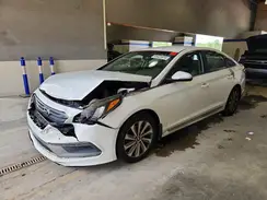 5NPE34AF0HH499159 2017 HYUNDAI SONATA