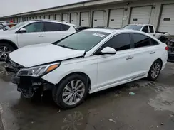 5NPE34AF0HH502299 2017 HYUNDAI SONATA