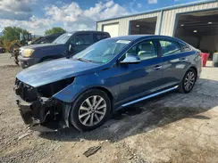 5NPE34AF0HH542947 2017 HYUNDAI SONATA
