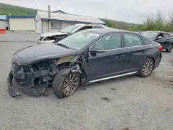 5NPE34AF0HH554760 2017 HYUNDAI SONATA