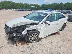 5NPE34AF0HH579173 2017 HYUNDAI SONATA