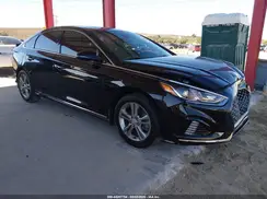 5NPE34AF0KH731069 2019 HYUNDAI SONATA