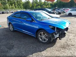 5NPE34AF0KH736207 2019 HYUNDAI SONATA