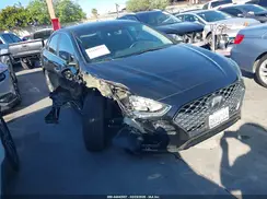 5NPE34AF0KH736711 2019 HYUNDAI SONATA