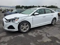 5NPE34AF0KH746333 2019 HYUNDAI SONATA