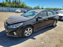 5NPE34AF0KH748227 2019 HYUNDAI SONATA