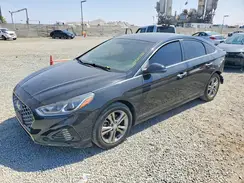 5NPE34AF0KH761950 2019 HYUNDAI SONATA