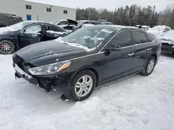 5NPE34AF0KH764377 2019 HYUNDAI SONATA