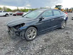 5NPE34AF0KH768980 2019 HYUNDAI SONATA