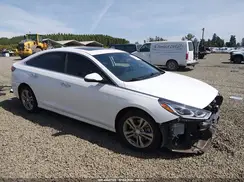 5NPE34AF0KH769479 2019 HYUNDAI SONATA