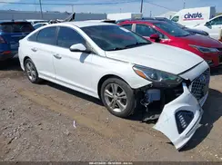 5NPE34AF0KH788677 2019 HYUNDAI SONATA