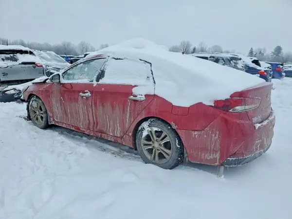5NPE34AF0KH797265 2019 HYUNDAI SONATA - Image 2