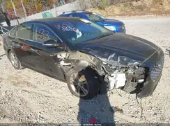 5NPE34AF0KH808636 2019 HYUNDAI SONATA