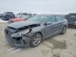 5NPE34AF0KH810774 2019 HYUNDAI SONATA