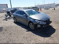 5NPE34AF0KH820169 2019 HYUNDAI SONATA