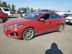 5NPE34AF0KH821970 2019 HYUNDAI SONATA