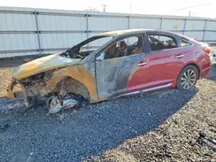 5NPE34AF1GH262761 2016 HYUNDAI SONATA