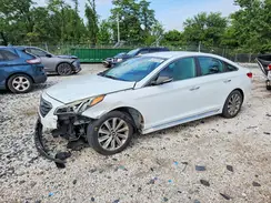 5NPE34AF1GH265790 2016 HYUNDAI SONATA