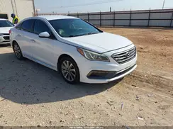 5NPE34AF1GH273890 2016 HYUNDAI SONATA